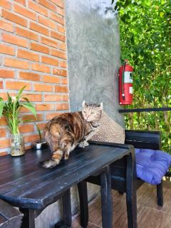 B-tel Chomthong resort Chiang mai - 8