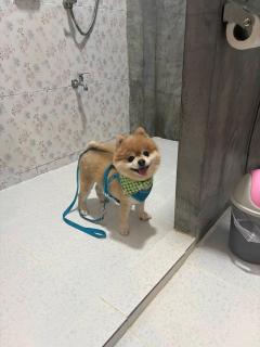 B-tel Chomthong resort Chiang mai - 6