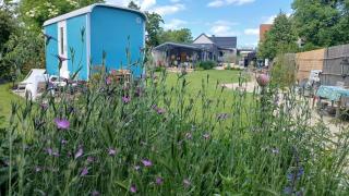 timeout by kirschner - 9