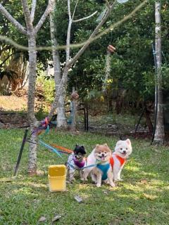 B-tel Chomthong resort Chiang mai - 1