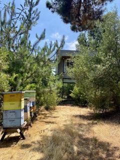 Refugio en el bosque con vista a la bahía - 5