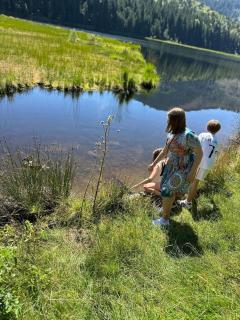 Lindners Hideaways - Gutshof Pine Retreat - Sauna - In Villa - Terrasse - Garten mit Rehgehege - Frühstück verfügbar - SKI - Arber - Osser - bis 5 Pers - 4