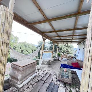 GP Cortijo Palmera - 1