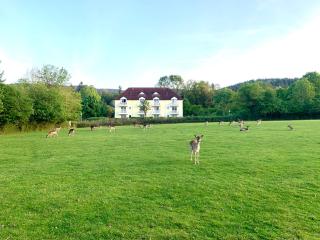 Lindners Hideaways - Gutshof Pine Retreat - Sauna - In Villa - Terrasse - Garten mit Rehgehege - Frühstück verfügbar - SKI - Arber - Osser - bis 5 Pers - 6