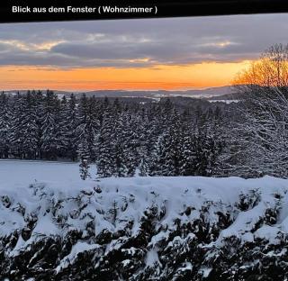 Große Ferienwohnung Hundertwasser am Dreisessel in Altreichenau - 7
