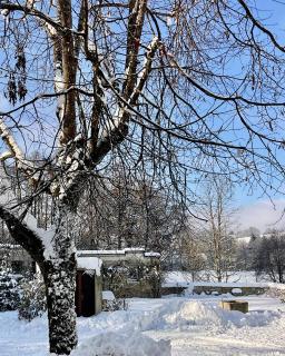 Design Ferienwohnung mit Bauerngarten - 9