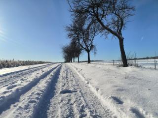Ferienhaus am Dürrbachtal - 8