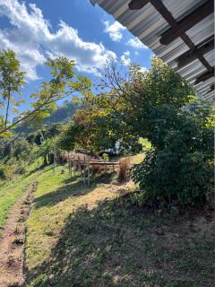 ไร่บุญธรรม - 3