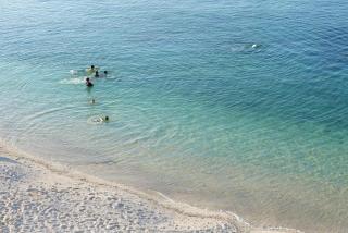 Windy Villa Phú Quý -  - 7