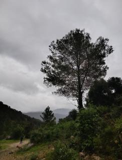 La Llar de la Font - 8