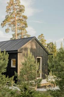 Modern Summer House Near The Sea In Ardre - 9