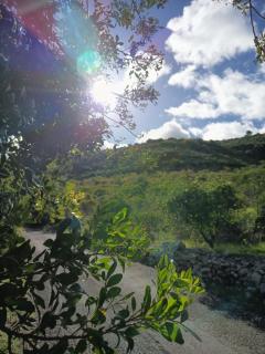 La Llar de la Font - 5