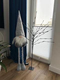 Apartament Parkowa-prywatny parking - 9