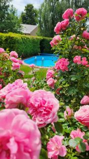 Ferienhaus RENA mit Pool - Bischdorf - 7