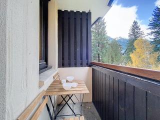 Coeur de Chamonix, Appartement, parking - 5