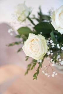 Apartment 600m zur Nordsee - Hunde willkommen - 6