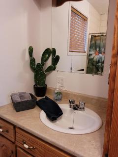 L'EMERAUDE sur la rivière Magog - 5