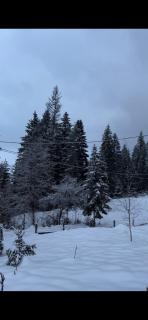 Apartman Suzii - Pale - 8