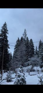 Apartman Suzii - Pale - 9