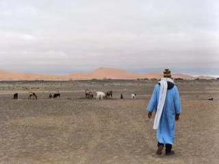 Camp Familia Erg Chebbi - 8