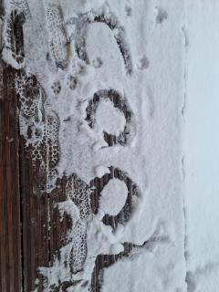 Insolite Chalet de pêche Sérénité - Bien Etre - 7