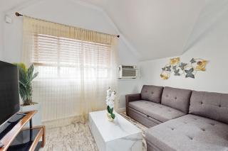 3 Mi to Franklin Park Zoo Bright Getaway! - Boston - 5