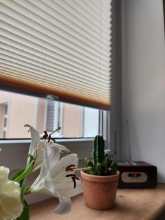 Apartament Na Rynku - 5