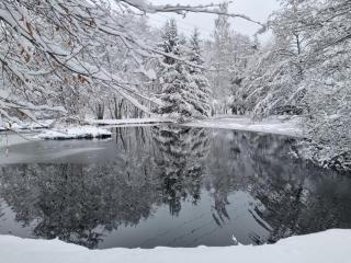 Insolite Chalet de pêche Sérénité - Bien Etre - 9