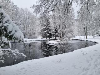 Insolite Tiny House Sérénité Bien Être - 3