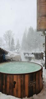 Mój Domek z Jacuzzi, sauną i kominkiem na wyłączność - Wisła - 0