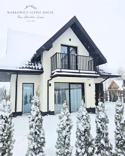 Markowicz Alpine House - 1