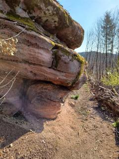 Ferienwohnung Pfalz Rodalben - 6