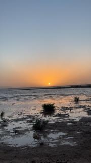 Desert Halo Camp - 3