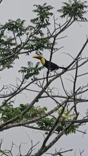 Tío Felix Eco Lodge - 8