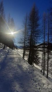 Valdidentro sweet home - 9