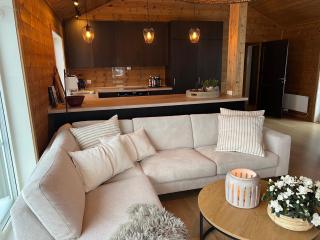 Fantastic view, great holiday house with sauna in Sirdal - 4