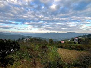 Himalayanblues cottages&stays - 6