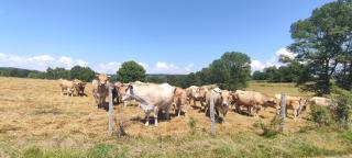Maison dans un joli village typique du Cantal! - 9