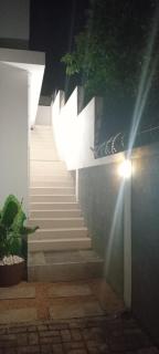 Colocasia, Maison Blanche, Pamplemousses - 9