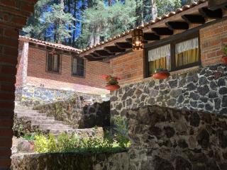 Cabaña en el Bosque con Chimenea y Asador! - 7