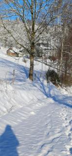 Ferienwohnung am alten Backhaus - 7