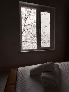 Luxury Villa in Gabala - 3