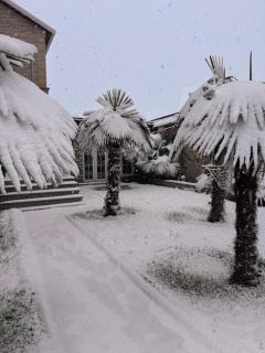 Luxury Villa in Gabala - 5