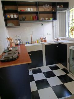 Kactus de la abuela - 8