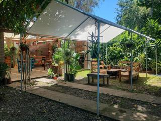 Kactus de la abuela - 7