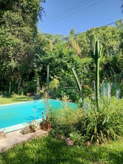 Kactus de la abuela - 2