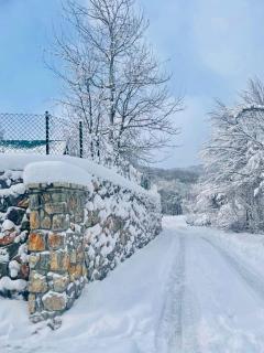 Holiday house Flores - 8