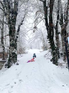 Holiday house Flores - 6