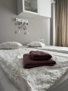 Ultracentral Apartment BBs Apartment - Târgu Mureș - 1