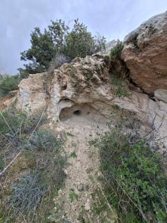 Apartment 2 people sea view garden pool - 6